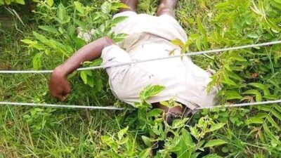 करेन्ट लागेर माझीको मृत्यु