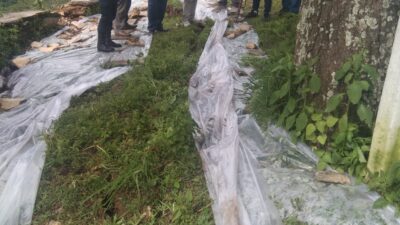 गेलुको अधिकारी टोल जोखिममा