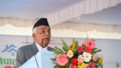 औधोगिक विकासका लागि  साना तथा घरेलु उद्यमशीलतालाई बढावा दिनपर्ने : राष्ट्रपति पाैडेल