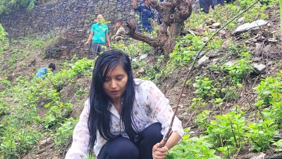 उद्योग वाणिज्यद्वारा मन्थलीमा वृक्षाराेपण