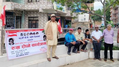 विपी स्मृतिमा वृक्षारोपण