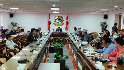 नागरिककाे धनजनकाे रक्षा गर्न कुनै कसुर नराख्ने : कार्यबाहक प्रधानमन्त्री सिंह