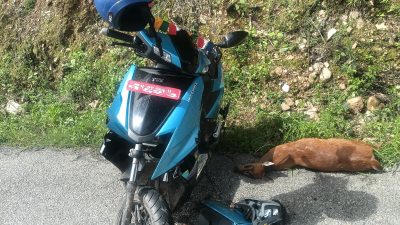 गुडिरहेको स्कुटरमा मृग ठोक्किँदा चालक घाइते, थप उपचारका लागि काठमाडौं&hellip;